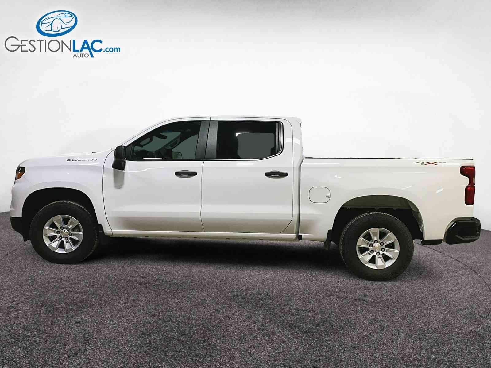 Chevrolet Silverado 1500 2023 - Thumbnail 6