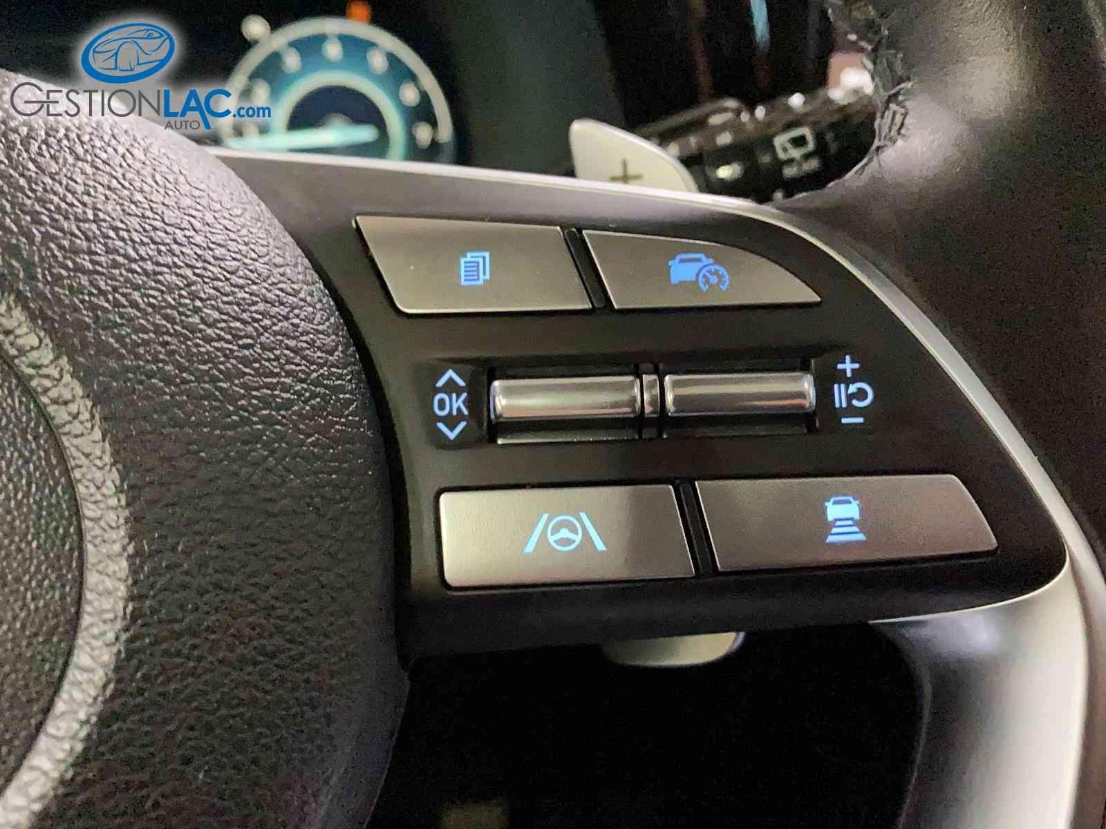 Hyundai Palisade 2024 - Thumbnail 16