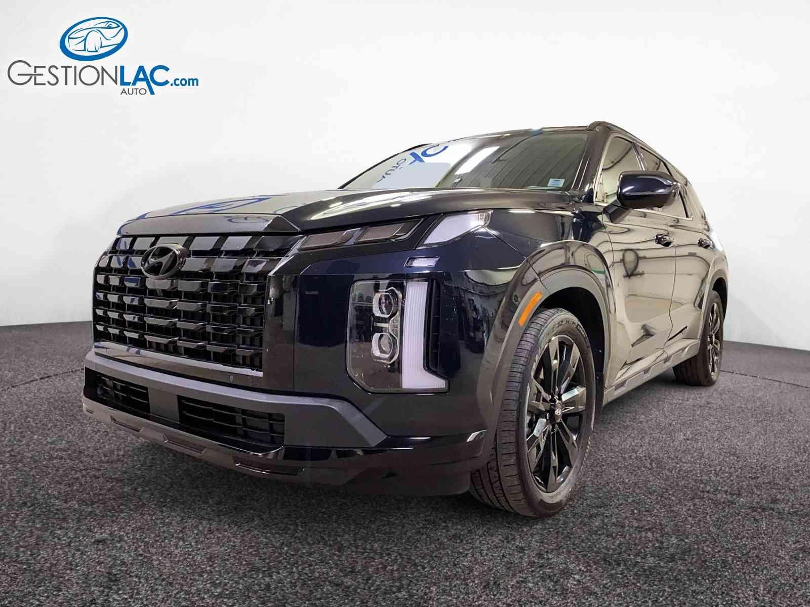 Hyundai Palisade 2024 - Thumbnail 1