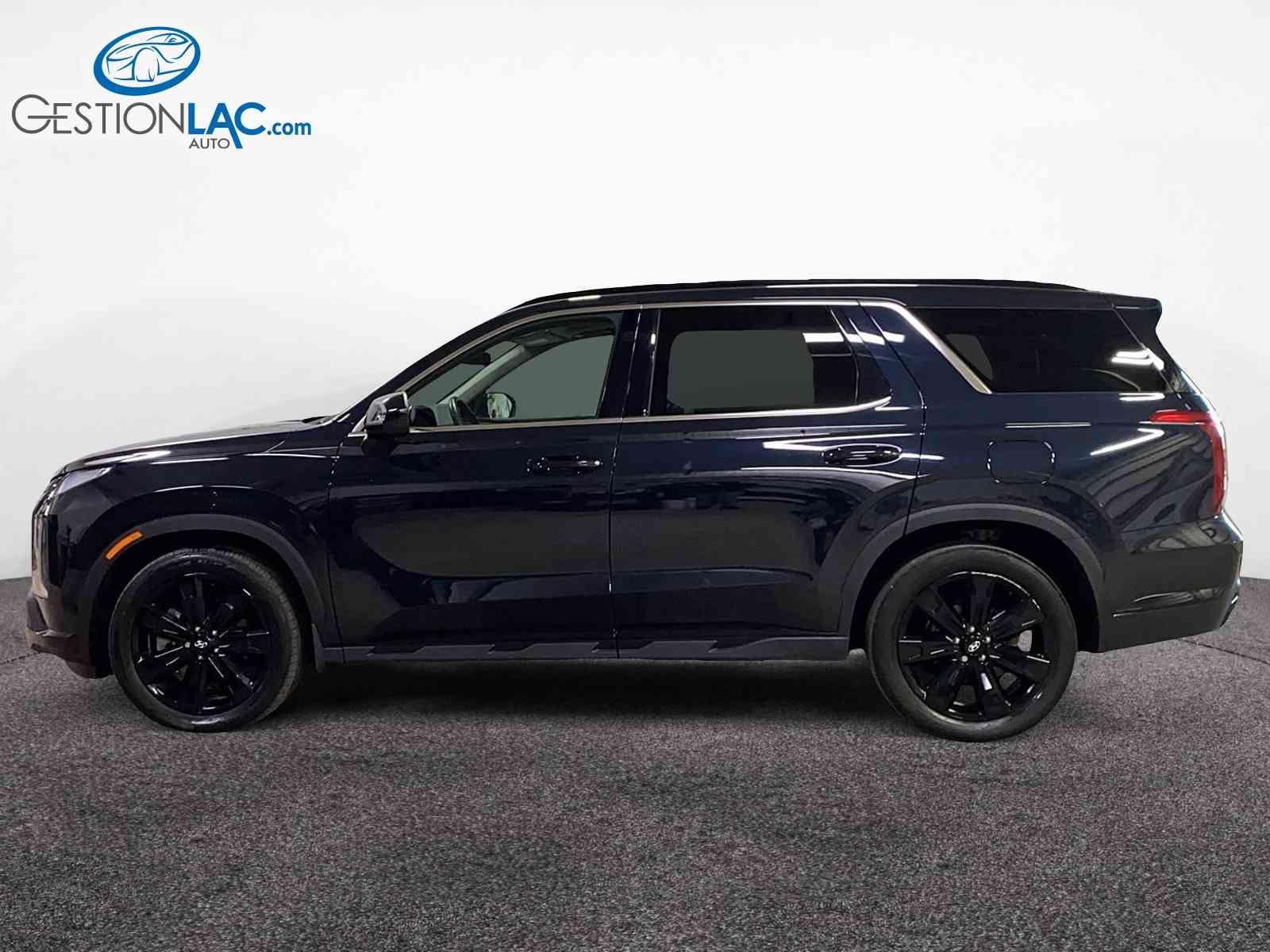 Hyundai Palisade 2024 - Thumbnail 5