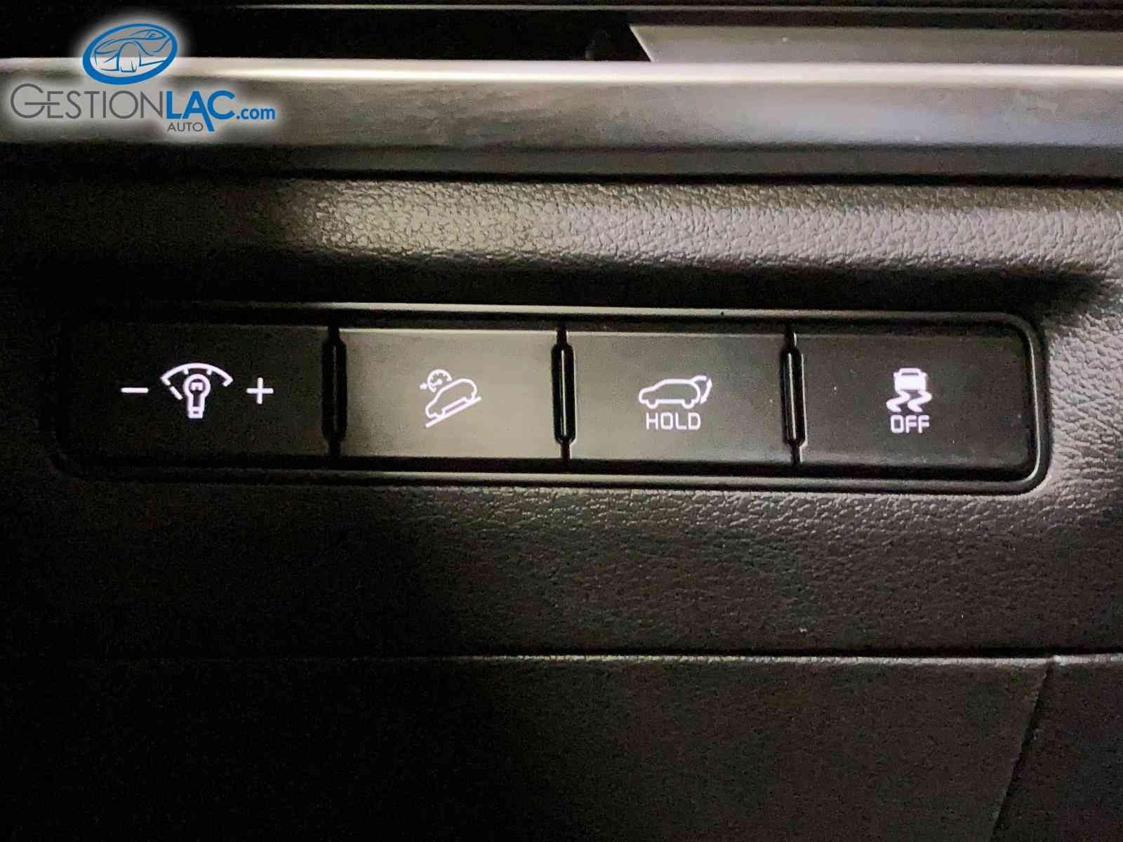 KIA Telluride 2023 - Thumbnail 9