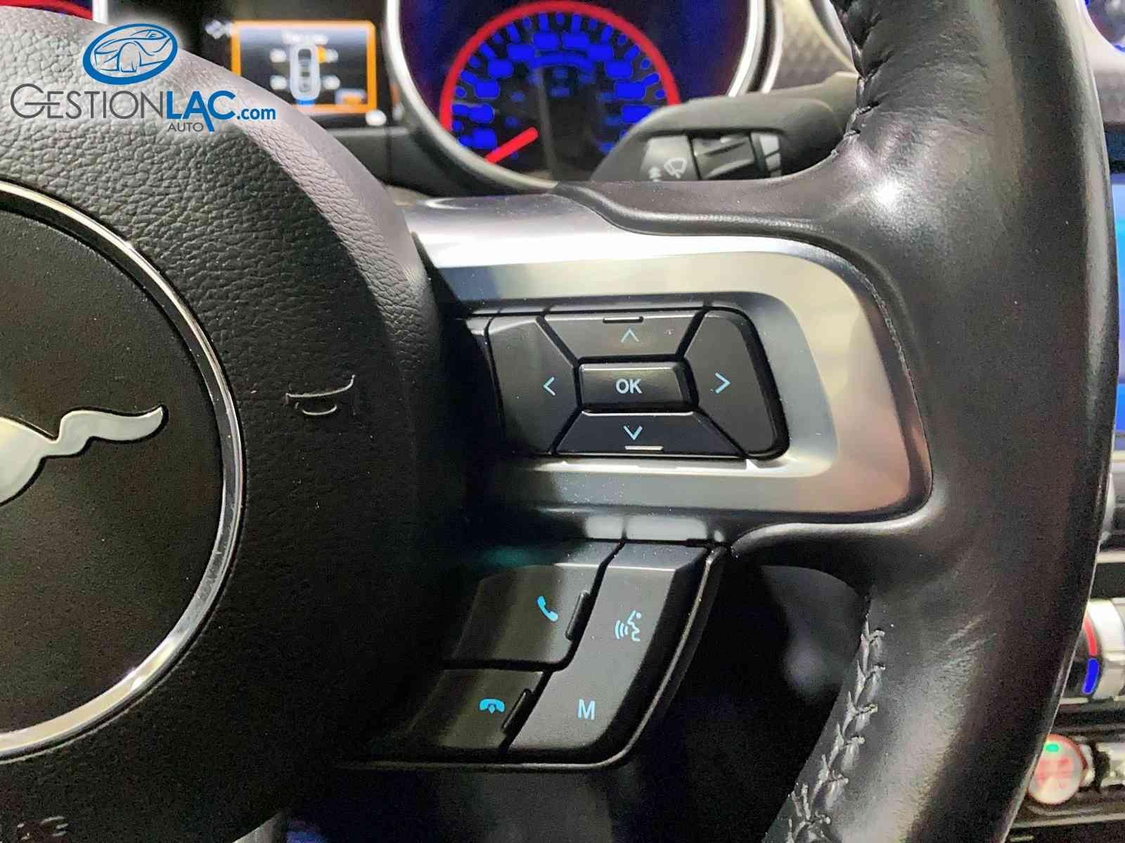 Ford Mustang 2022 - Thumbnail 13