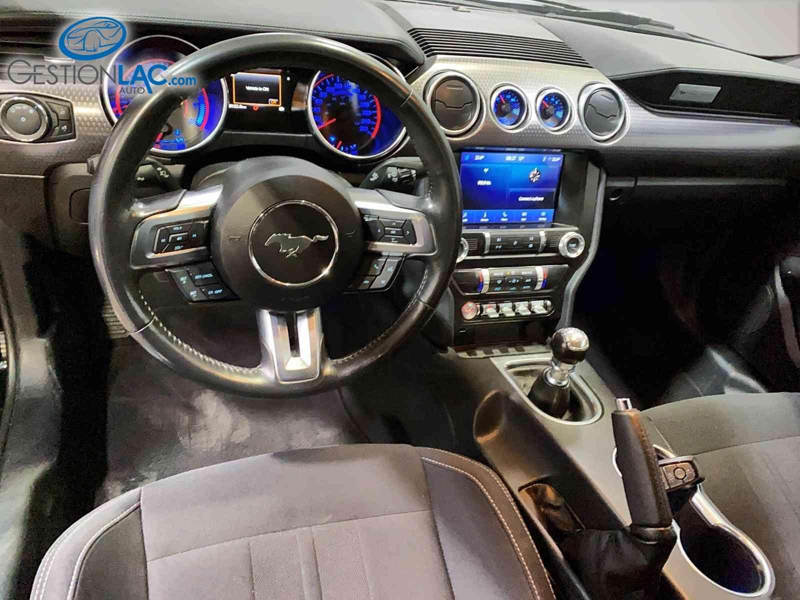 Ford Mustang 2022 - Thumbnail 16
